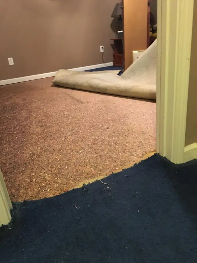 Carpet pad removal revealing water damage during Water Mitigation Services in Sheffield Lake