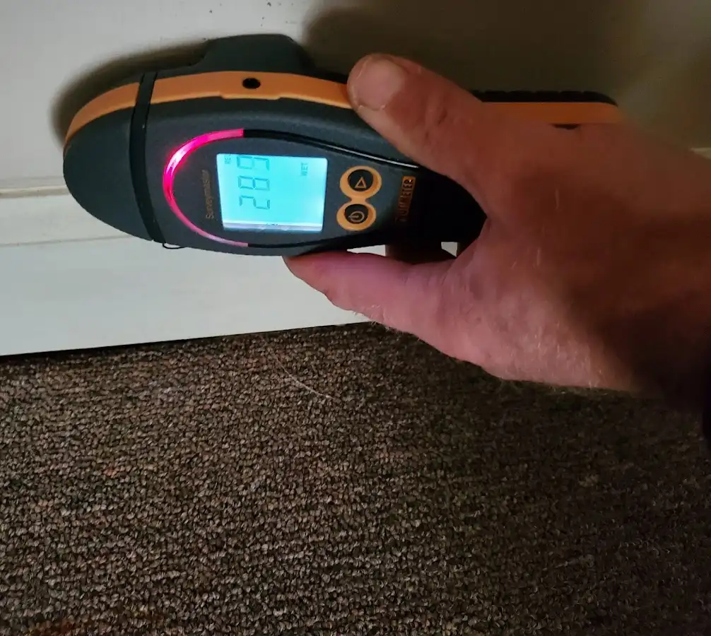 Moisture detection at baseboard during Sewage Cleanup & Sanitation in Sheffield Lake
